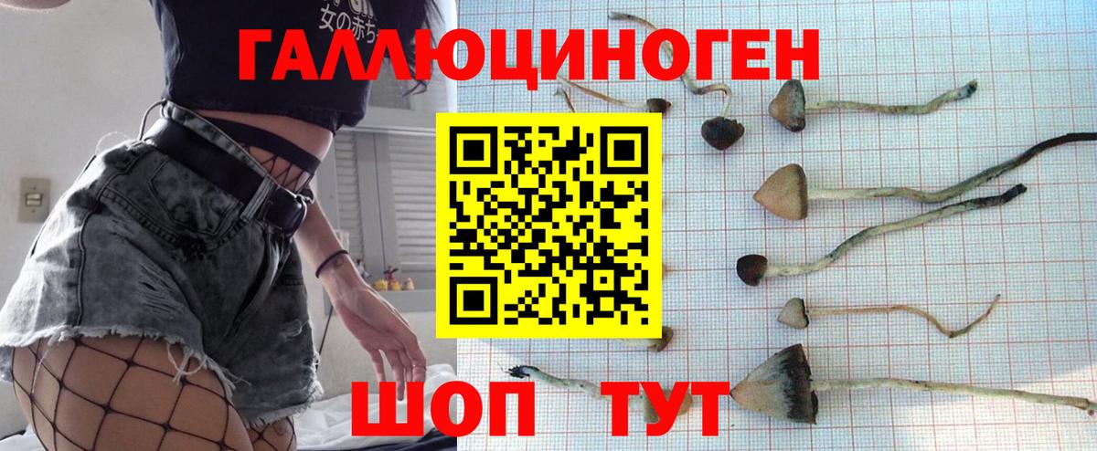 Галлюциногенные грибы Psilocybe  Вход с VPN  Нефтекумск 